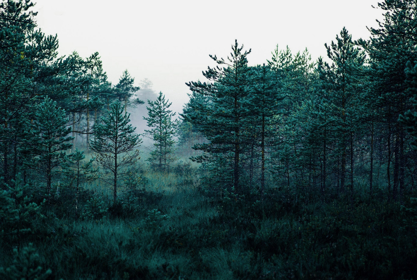 持続可能な取り組み